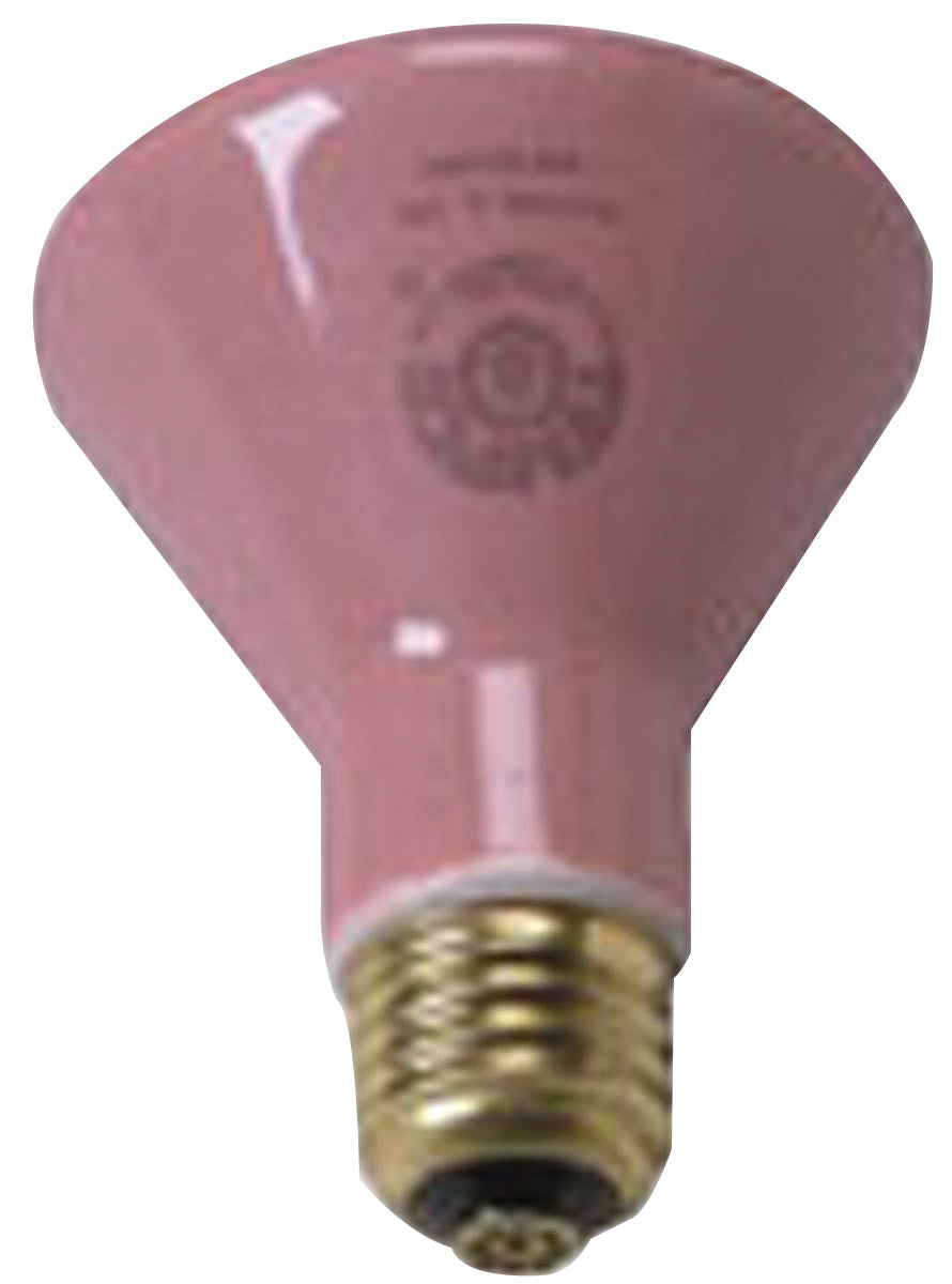 Accessories - (250 watt) Ceramic Bulb - each, 110V