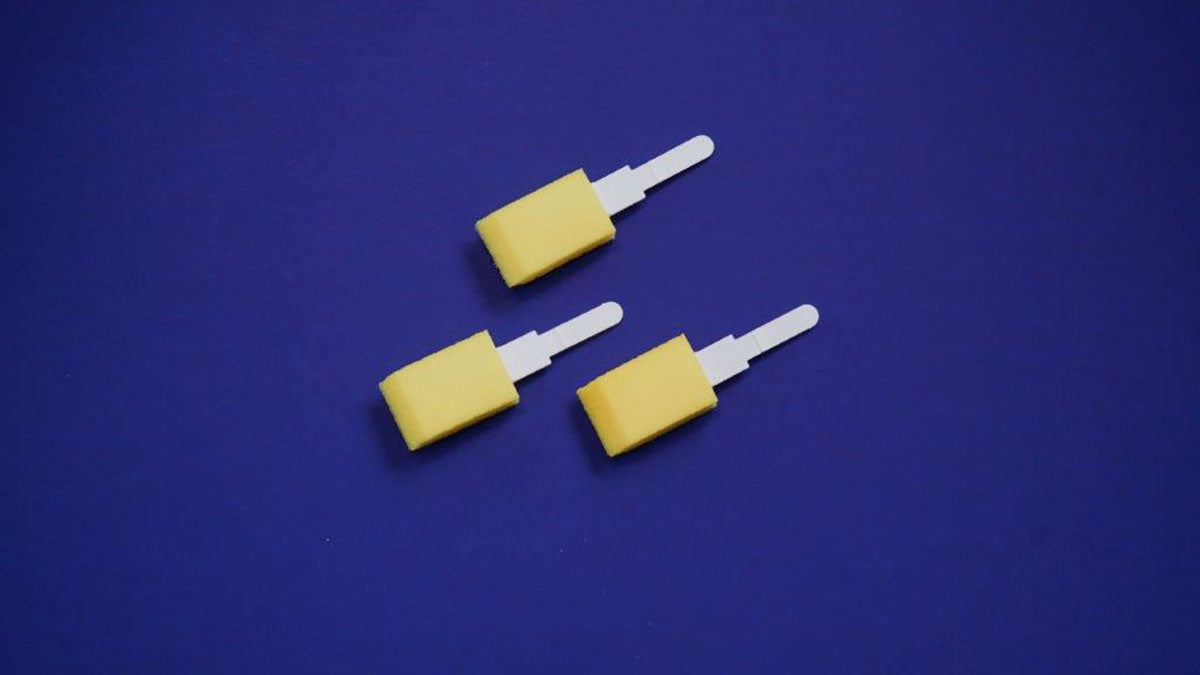 Dr. Joseph's Original Footbrush Kit